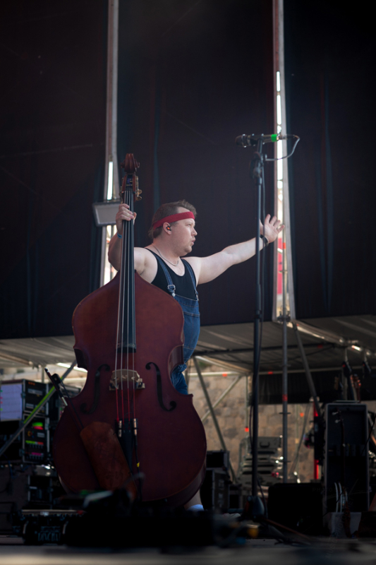 Steve`n`Seagulls